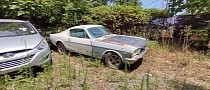 1966 Ford Mustang Left to Rot on Private Property Is a Fastback Surprise