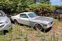 1966 Ford Mustang Left to Rot on Private Property Is a Fastback Surprise