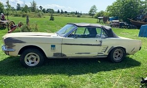 1966 Ford Mustang Sitting in a Barn for a Very Long Time Comes Alongside a Rusty Brother