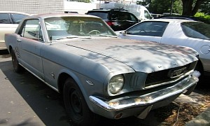 1966 Ford Mustang Spent Years in Storage, Then Parked Outside, Still a Beaut