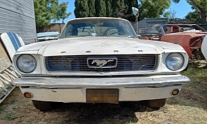 1966 Ford Mustang Survives Years of Sitting, Ticks All the Right Boxes