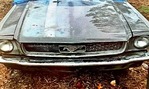1966 Mustang Fights for Life, Hopes to Impress in Potato-Quality Photos