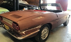 1967 Fiat 850 Spider Barn Find Has New Mice Pee Smell, Still a Solid Car