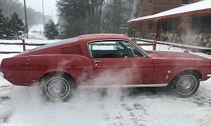 1967 Ford Mustang Comes Out of Hiding After 40 Years, Still Original and Rust-Free