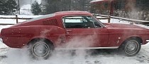 1967 Ford Mustang Comes Out of Hiding After 40 Years, Still Original and Rust-Free