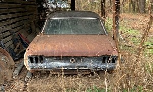 1967 Ford Mustang Found Under a Carport, Likely Abandoned for a While