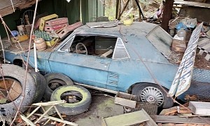 1967 Ford Mustang Sitting Under Cover for 30 Years Is a Mysterious Barn Find