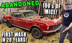 1967 Mustang's First Wash in 20 Years Reveals Live Mice, Iconic 351 Cleveland V8 Muscle