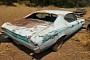 1968 Chevrolet Chevelle Left to Rot Near a Forest Flexes Multiple V8 Options