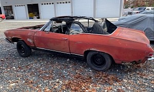 1968 Chevrolet Chevelle Rotting Away on Private Property Is a Different Kind of Survivor