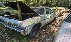 1968 Chevrolet Impala Sleeping in a Forest Begs for a Full Wash