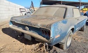 1968 Ford Mustang Spends 15 Years in a Container, 15 More Years in a Garage, Survives