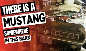 There's a Ford Mustang Somewhere in This Barn, You'll Believe It When You See It