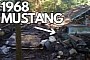 1968 Ford Mustang Trapped Under a Collapsed Barn Still Breathing, Looks Concerning