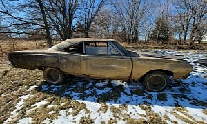 1968 Plymouth Road Runner Sitting Alone in a Field Seems Dead, More Alive Than Ever