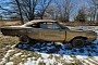 1968 Plymouth Road Runner Sitting Alone in a Field Seems Dead, More Alive Than Ever
