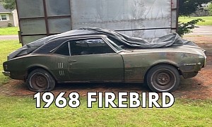 1968 Pontiac Firebird Saved From a Collapsed Barn After Sleeping for 5 Decades