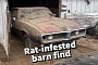 1968 Pontiac Firebird Stored for Decades Is Full of Nasty Surprises