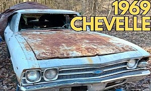 1969 Chevrolet Chevelle Hiding Under a Cover Promises Original V8 Muscle, Looks Doable