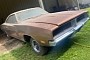 1969 Dodge Charger Barn Find “With Perfect Original Dust and Rust”