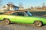 1969 Dodge Charger Is an F6 Green Survivor in Need of a "White Hat Special" Roof