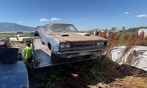 1969 Dodge Super Bee Found in the Bushes Is a Numbers-Matching Survivor