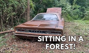 1969 Dodge Super Bee Sleeping in a Forest Proves Rust Can't Kill a Legend