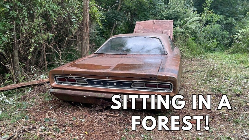 1969 Super Bee sitting in a forest