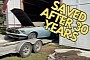 1969 Ford Mustang Adds 0 Miles in 30 Years, Salvage Car Becomes Awesome Barn Find