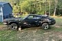 1969 Ford Mustang Mach 1 Spent 40 Years on a Field, Comes With Shelby Goodies