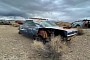 1969 Plymouth Road Runner Sitting in the Middle of Nowhere Is a Sad Sight, Gets Saved