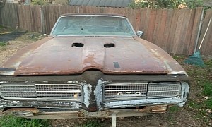 1969 Pontiac GTO Rotting Away on a Private Property, the High Price Will Kill It