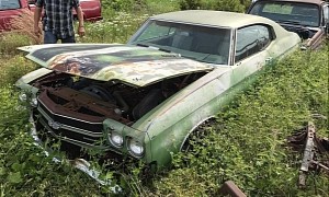 1970 Chevy Chevelle SS Rusting Away in a Field Hides 396 With Cowl Induction