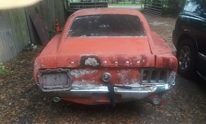 1970 Ford Mustang Rotting Away on Private Property Looks Like a Very Ambitious Pony