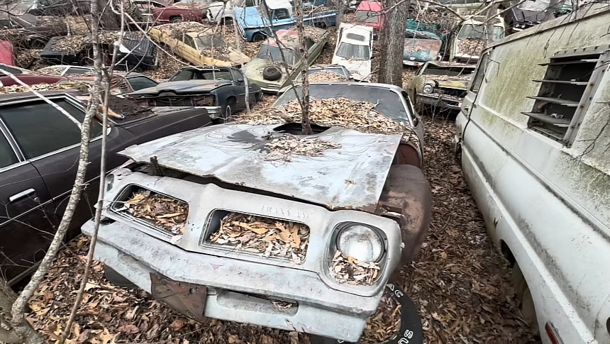 Mysterious Forest Packed with Abandoned Cars 