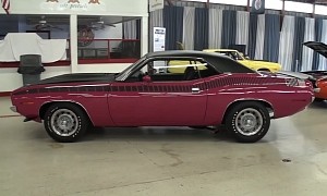 1970 Plymouth 'Cuda AAR in Moulin Rouge Is "Cuda Girl's" Dream Car, Rare Too