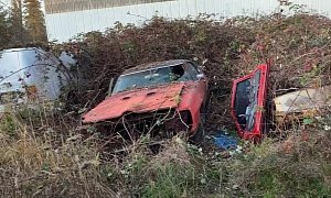 1970 Pontiac GTO Found in the Bushes Really Deserves a Second Chance