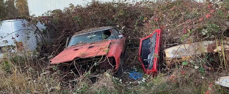 Pontiac GTO found in the bushes