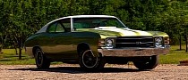 1971 Chevrolet Chevelle Has the Near-Perfect Camouflage for a Green Backdrop