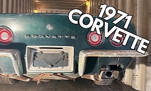 1971 Corvette Sitting for 20 Years Left to Rot on Private Property Is Hungry for Glory