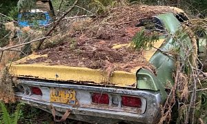1971 Dodge Charger Found in the Woods Might Be Dead for Good
