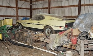 1971 Ford Mustang Boss 351 That Spent 46 Years in a Barn Is a Rat-Infested Survivor