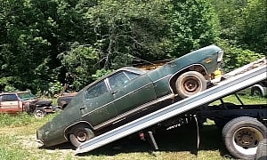 1971 Ford Torino 500 Spent 28 Years in a Tennessee Forest, Trees Nearly Swallowed It Whole