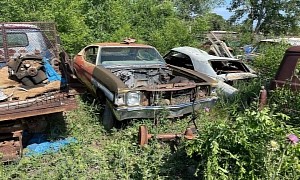1972 Chevrolet Chevelle Was Rescued from the Crusher, Sat Out Back for 30 Years