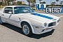 1972 Pontiac Firebird Trans Am Stays Put, $66,000 Not Enough To Rescue It out of Florida