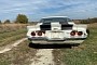 1973 Chevrolet Camaro Z28 Survived Kansas Winters, Rats, and Mice, Amazing Barn Find