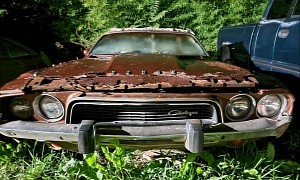 1973 Dodge Challenger Parked in the Bushes Is All Original, Flexes 340 Four-Barrel