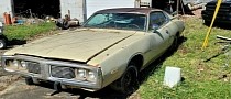 1973 Dodge Charger Found in a Junkyard Flexes a Mysterious V8, Not for the Faint of Heart