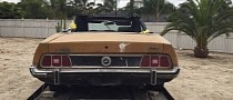 1973 Ford Mustang Barn Find Sees Daylight After 30 Years, Somehow Has Zero Rust