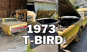 1973 T-Bird Left Kentucky in 1984, Got a Repaint in 1985, Was Abandoned in a Barn in 1986